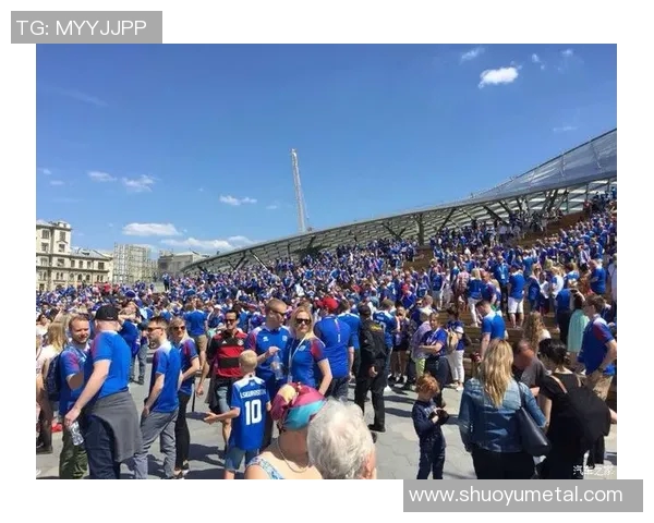 绿茵豪杰对决群雄以绝技争锋书写足球传奇长篇小说