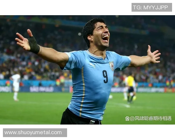 世界杯足球明星全记录2022至2026最新表现与精彩瞬间大全